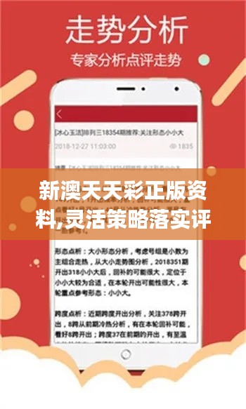 新澳天天彩正版免費(fèi)資料，新澳天天彩正版免費(fèi)資料大揭秘
