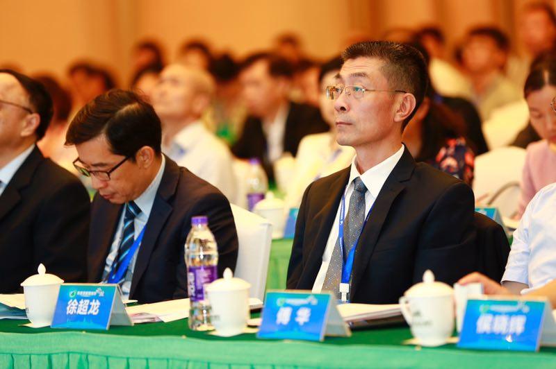 2025香港資料大全正新版，香港最新資訊大全（2025版）