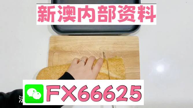 新澳門(mén)內(nèi)部一碼精準(zhǔn)公開(kāi)，探索前沿科技的魅力，澳門(mén)前沿科技揭秘，一碼精準(zhǔn)公開(kāi)探索科技魅力