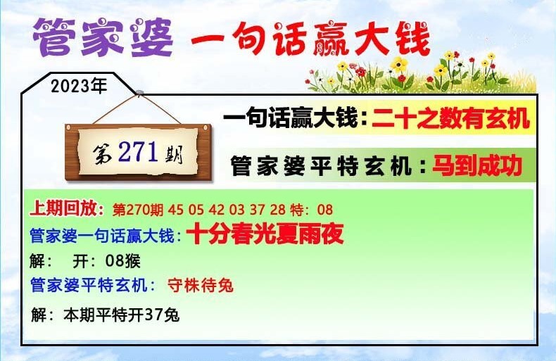 揭秘202管家婆一肖一碼，解碼神秘?cái)?shù)字背后的秘密，揭秘神秘?cái)?shù)字背后的秘密，解碼管家婆一肖一碼的秘密真相