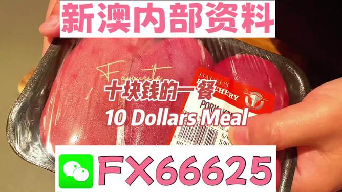 新澳精準資料免費提供，探索第510期的奧秘，新澳精準資料免費分享，揭秘第510期奧秘