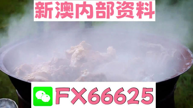 新澳全年免費(fèi)資料大全，一網(wǎng)打盡各類資源，新澳全年免費(fèi)資料大全，各類資源一網(wǎng)打盡