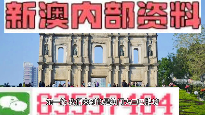 新澳門正版免費(fèi)資料怎么查，澳門正版免費(fèi)資料查詢指南