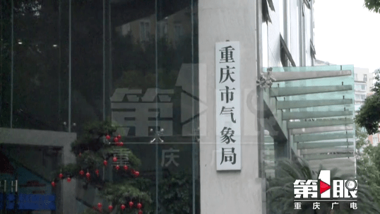 新奧門最精準(zhǔn)資料大全，新澳門最精準(zhǔn)資料大全匯總