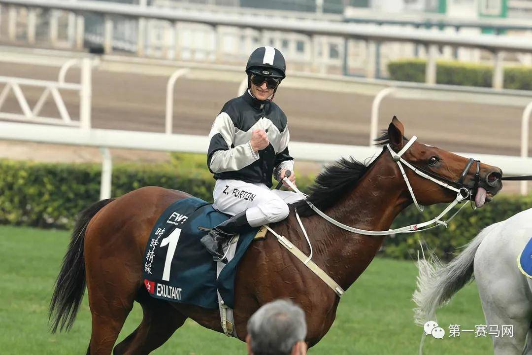 ww777766香港馬會總綱詩，WW777766香港馬會總綱詩概覽