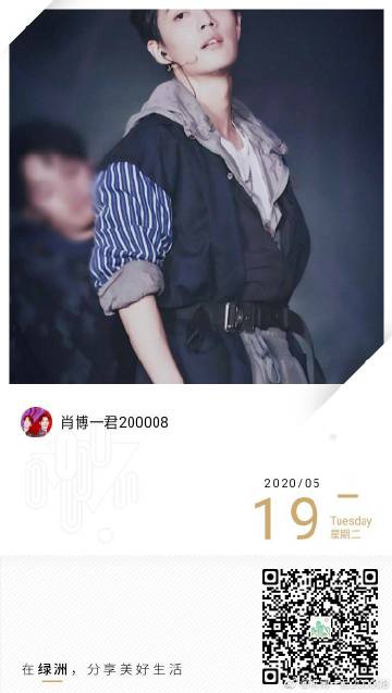 一肖一碼一一肖一子，探尋背后的神秘與魅力，探尋生肖一碼一子的神秘魅力與背后故事