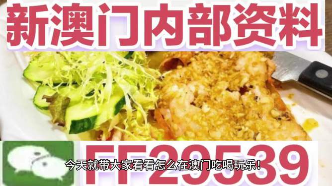 探秘2025年澳門特馬，未來之夜的不解之緣，探秘澳門特馬未來之夜，2025年的不解之緣