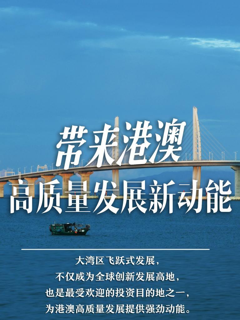 2025新澳門精準(zhǔn)免費(fèi)大全，澳門最新精準(zhǔn)免費(fèi)資料大全（2025版）