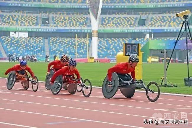 2025新澳門正版免費(fèi)資本車，澳門正版免費(fèi)資本車，未來(lái)趨勢(shì)與機(jī)遇