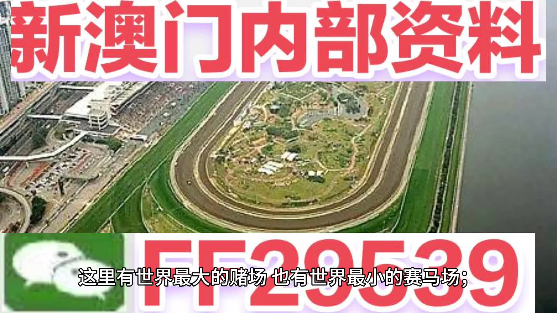 2025澳門天天開好彩精準(zhǔn)24碼，澳門精準(zhǔn)預(yù)測(cè)2025年天天開好彩的24碼預(yù)測(cè)號(hào)碼