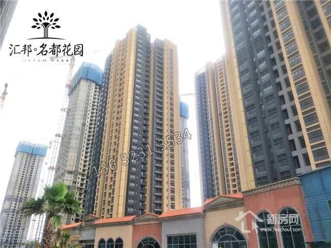 白小姐三期必出一肖種特，白小姐三期預(yù)測，神秘生肖種特揭曉