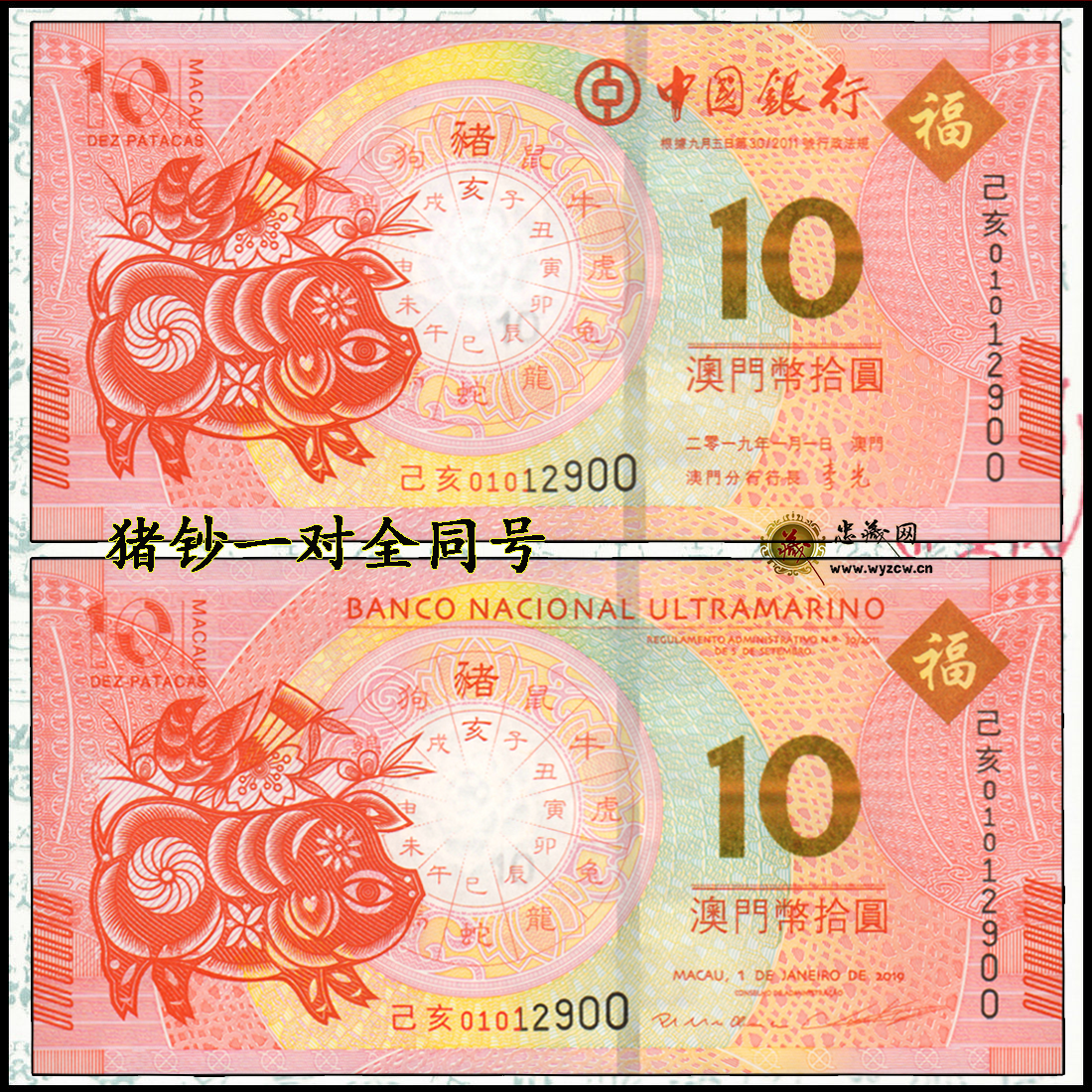 揭秘新澳門平特一肖，100%準(zhǔn)確預(yù)測的秘密，揭秘，新澳門平特一肖100%準(zhǔn)確預(yù)測的秘密傳奇