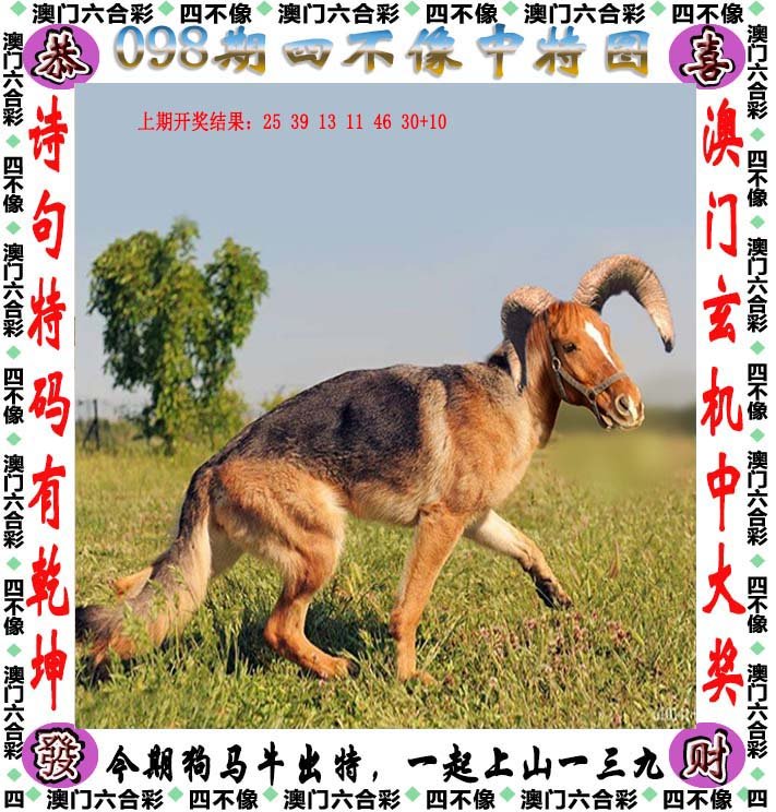 澳門今晚精準(zhǔn)開四不像藏寶圖,現(xiàn)象解答解釋定義_2