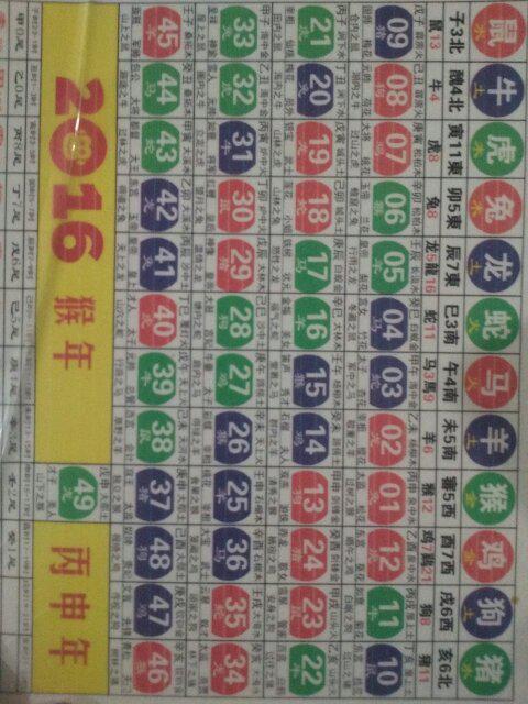 揭秘香港十二生肖49碼表2025，一網打盡所有預測，揭秘香港十二生肖49碼表終極預測，一網打盡所有秘密，2025年預測大揭秘