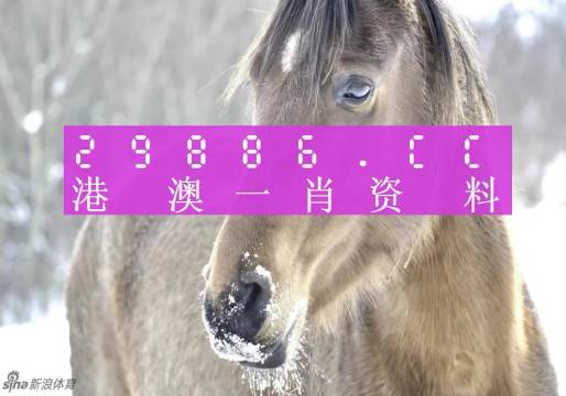 澳門平特一肖100準(zhǔn)確,最新答案解釋定義_47
