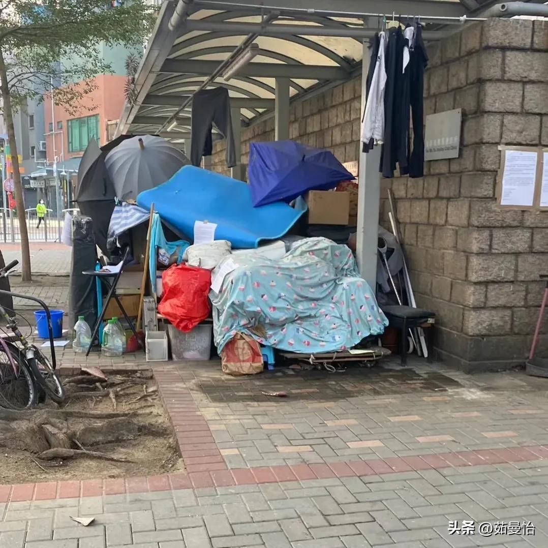 澳門天天彩歷史開獎記錄查詢,精準分析實施步驟_7