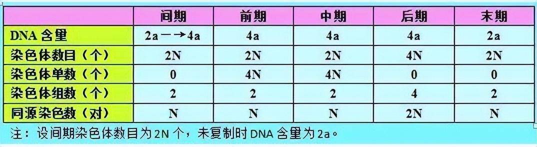 2025天天開(kāi)彩資料大全最新版,涵蓋了廣泛的解釋落實(shí)方法_3