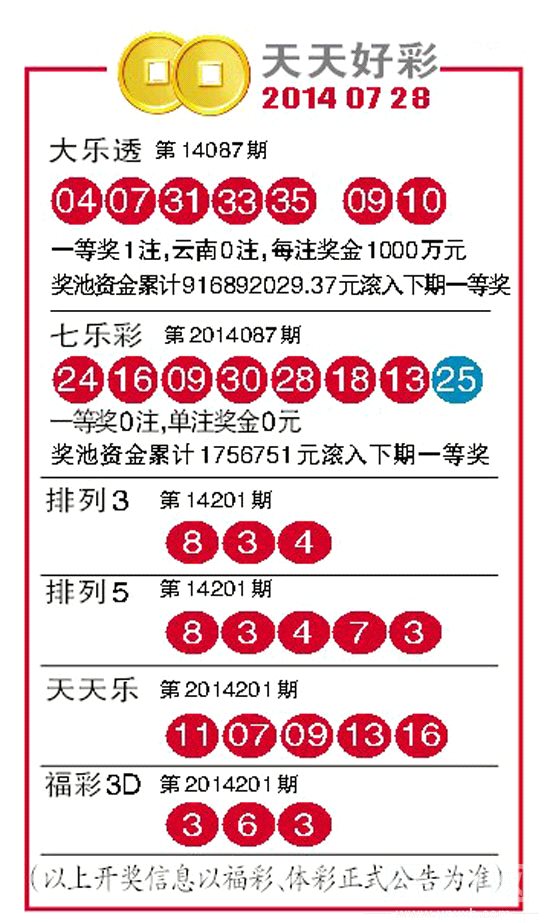 2025年天天開好彩大全,快速計(jì)劃解答設(shè)計(jì)_28