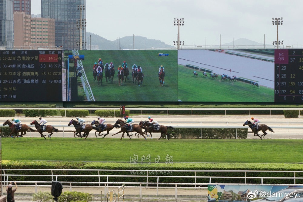 2025新澳門今晚開特馬直播，澳門特馬直播預告，揭秘今晚開獎懸念
