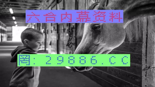 馬會(huì)傳真-澳門管家婆百分百，馬會(huì)傳真與澳門管家婆的百分百信賴合作