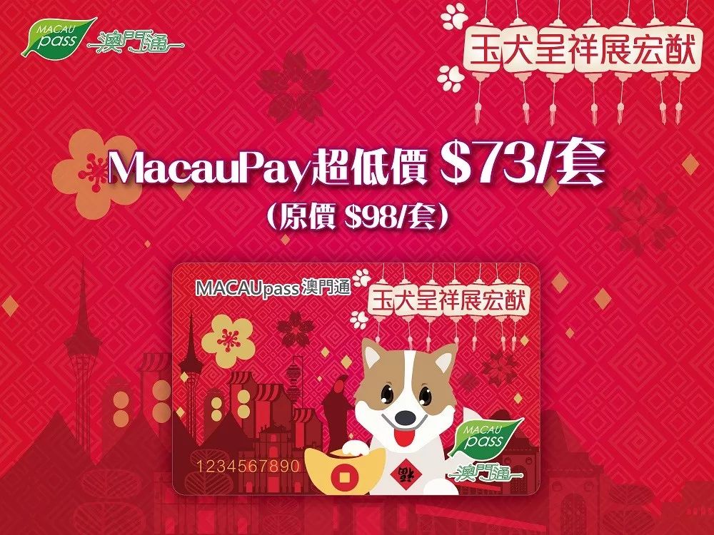 澳門正版資料大全資料生肖卡的奧秘與魅力，澳門正版資料大全，生肖卡的奧秘與魅力