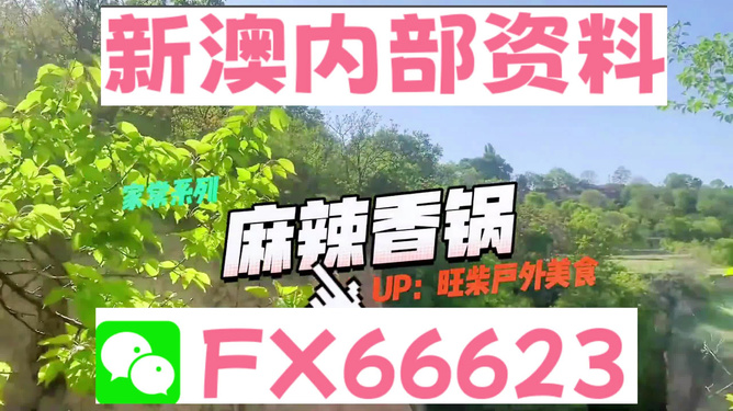 新澳精準(zhǔn)資料大揭秘，免費(fèi)提供的背后故事，新澳精準(zhǔn)資料揭秘，免費(fèi)背后的故事