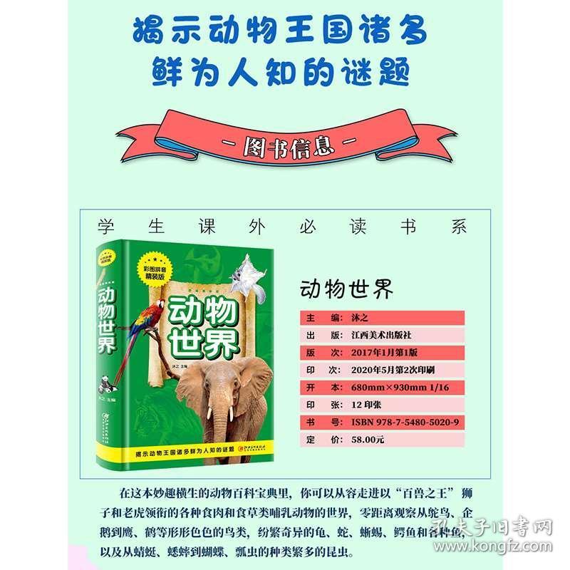 澳門正版資料大全資料生肖卡，澳門正版資料大全，生肖卡全收錄