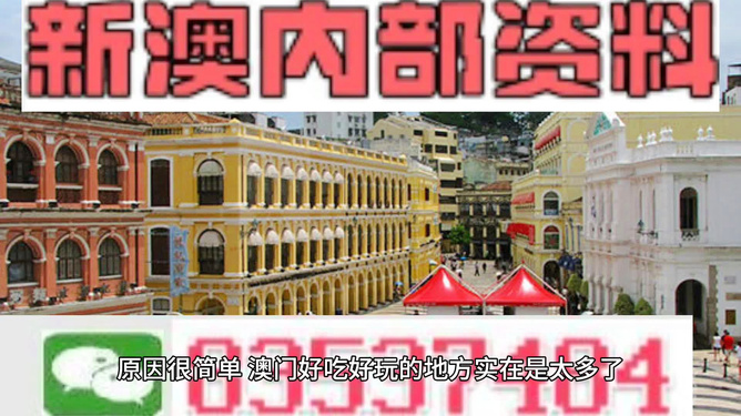 新澳門(mén)最精準(zhǔn)正最精準(zhǔn)龍門(mén)，探索與揭秘，新澳門(mén)最精準(zhǔn)正龍門(mén)探索揭秘攻略