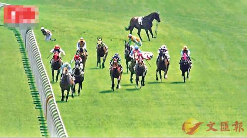 香港資料大全正版資料2025年免費(fèi)四柱，馬報(bào)全解析，香港資料正版解析，四柱預(yù)測(cè)與馬報(bào)全解析（2025年免費(fèi)版）