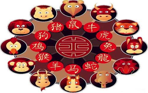 澳門天天開彩大全免費十二生肖子什么，澳門天天開彩大全免費十二生肖之子揭曉時刻