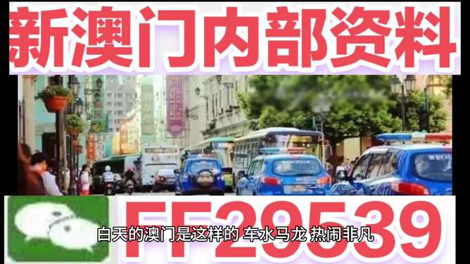 2025今晚澳門開獎結(jié)果，2025年澳門今晚開獎結(jié)果揭曉
