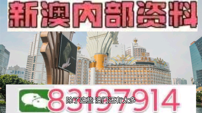 今晚澳門特馬開的什么號碼，澳門特馬今晚開獎號碼揭曉