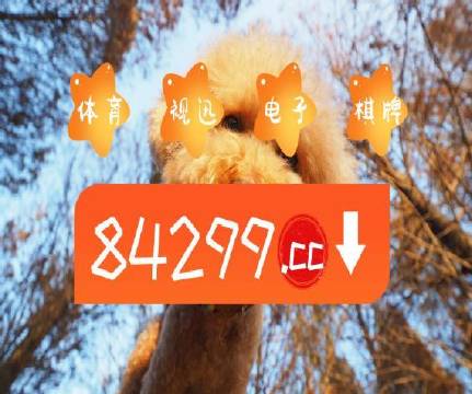 澳門天天彩正版免費(fèi)提示下載，一網(wǎng)打盡彩票資訊與玩法，澳門天天彩正版免費(fèi)提示下載，一網(wǎng)打盡彩票資訊、玩法大全