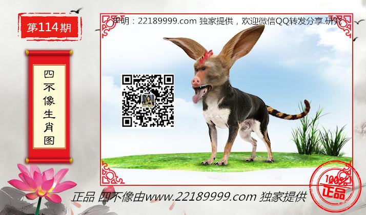 四不像正版資料查看，四不像正版資料詳查
