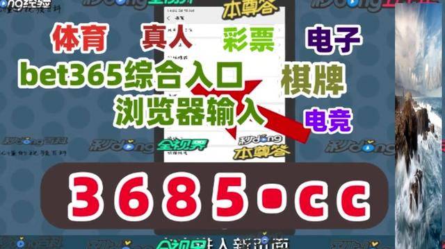 深度解析與探索