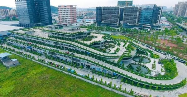 澳門彩今天晚上214期開什么啊?，澳門彩第214期開獎結果揭曉，幸運數(shù)字組合即將揭曉！