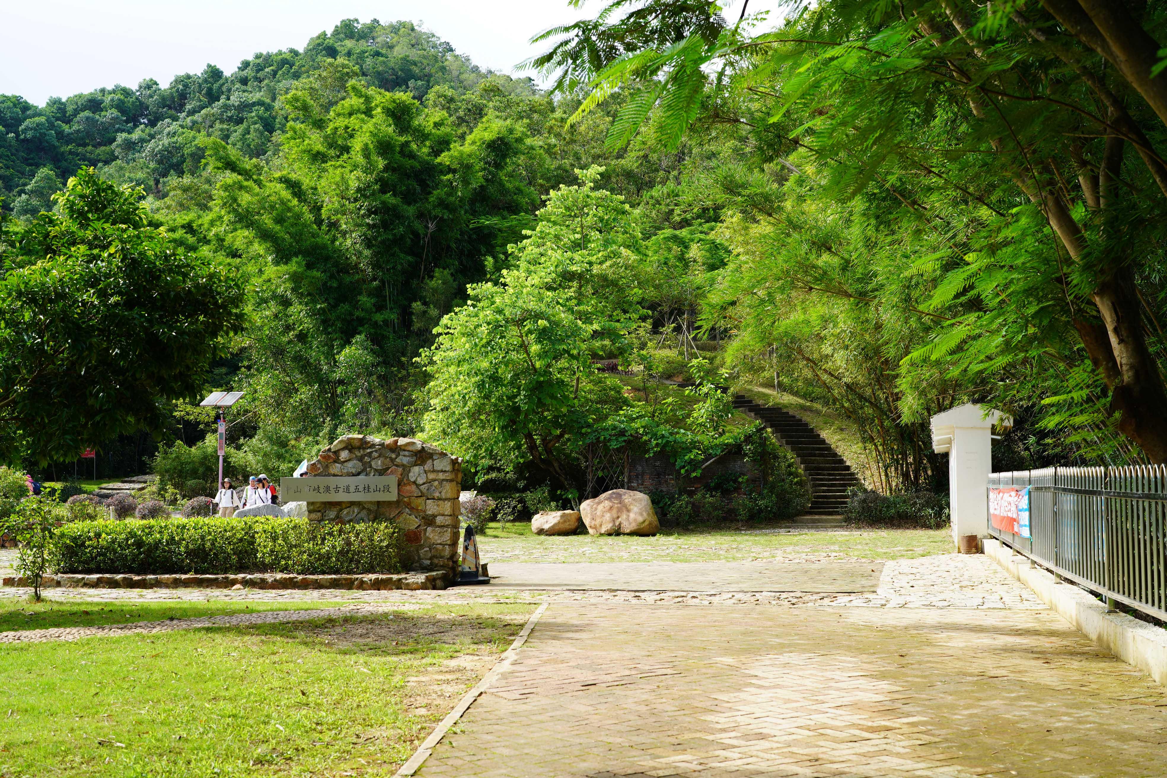新澳門(mén)彩出號(hào)綜合走勢(shì)解析，澳門(mén)彩票最新走勢(shì)分析與預(yù)測(cè)