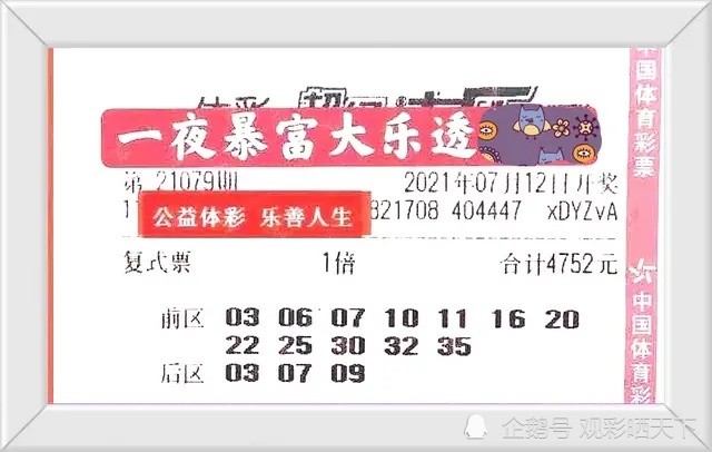 澳門特料碼天天開獎，揭秘彩票背后的故事，澳門特料碼天天開獎背后的故事揭秘