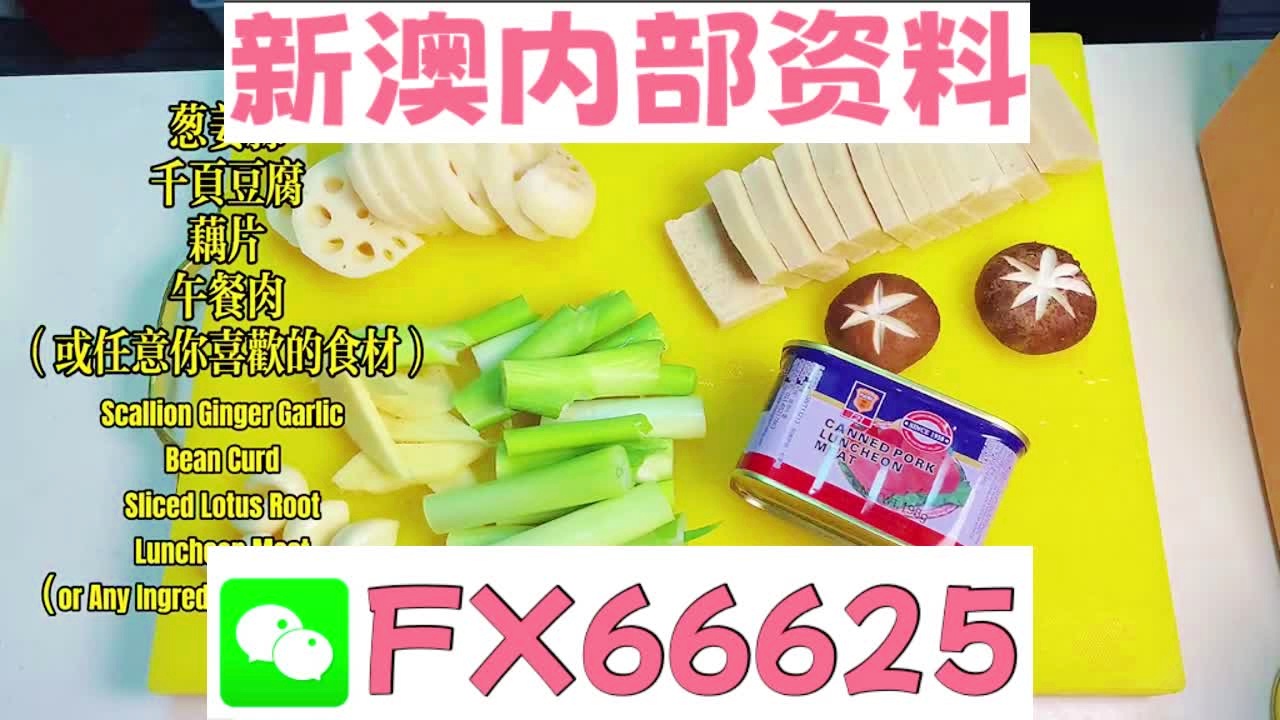 深度解析，2025新澳精準(zhǔn)資料大全，深度解析，2025新澳精準(zhǔn)資料大全概覽