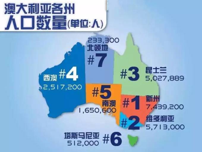 新澳2025年一肖一馬中特，新澳2025年一肖一馬中特預(yù)測(cè)與解析