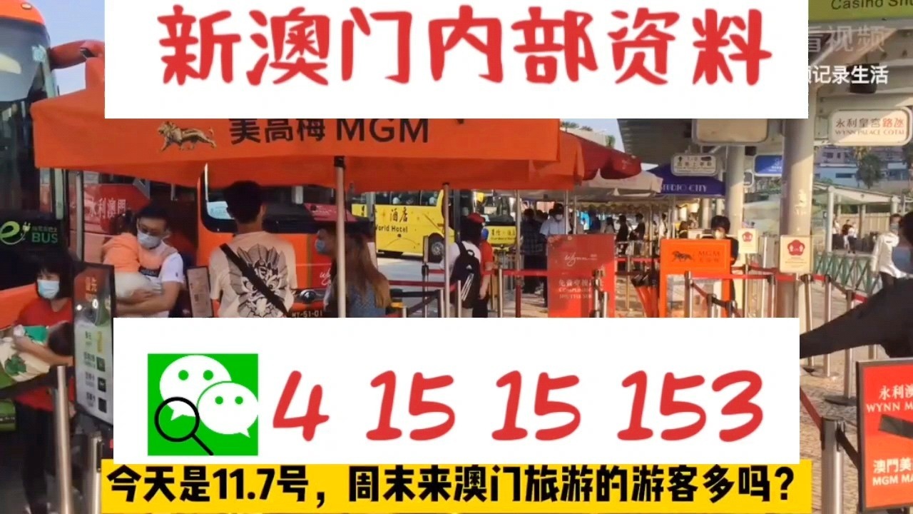 新澳2025年一肖一馬中特，新澳2025年一肖一馬中特預(yù)測(cè)與解析