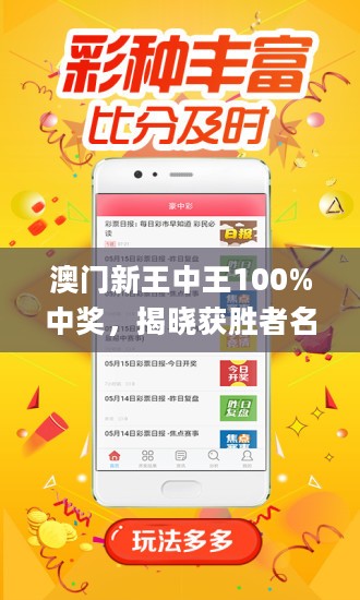 揭秘新澳門王中王，期期中背后的秘密，揭秘新澳門王中王期期中內(nèi)幕真相