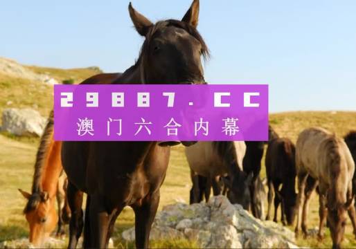 澳門管家婆—肖一碼傳奇人生，澳門管家婆肖一碼，傳奇人生揭秘