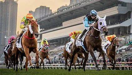 hkjc香港賽馬會(huì)，hkjc香港賽馬會(huì)精彩瞬間