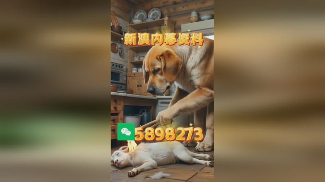 澳門今晚開(kāi)什么生肖碼，澳門今晚生肖碼預(yù)測(cè)